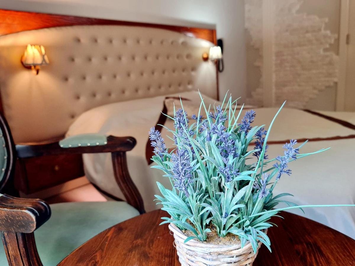 Sofia Boutique Hotel 키레니아 외부 사진